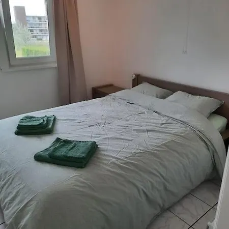 Spacieux Duplex Pres De La 4 2 Sdb Apartment De Haan